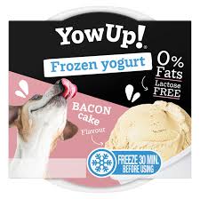 YowUp Frozen Yogurt Bacon Cake