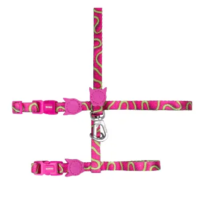 ZEEDOG - JELLY CAT HARNESS + LEASH 