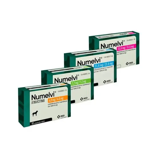 NUMELVI CAJA