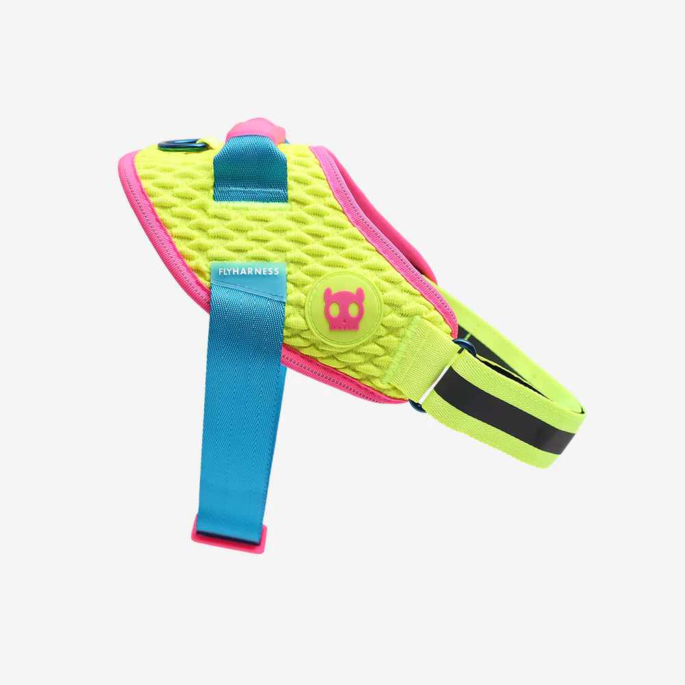 Zeedog CMYK Flyharness 