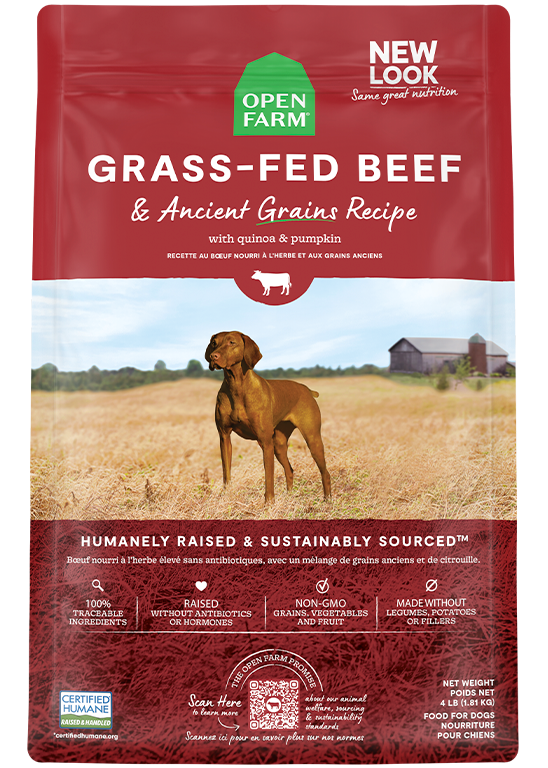 Grass-Fed Beef & Ancient Grains Kibble 11lb