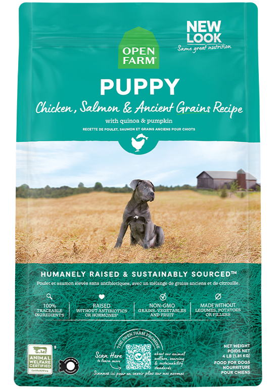 Puppy & Ancient Grains Kibble 4lb