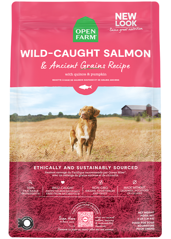 Wild Caught Salmon & Ancient Grains Kibble 11lb