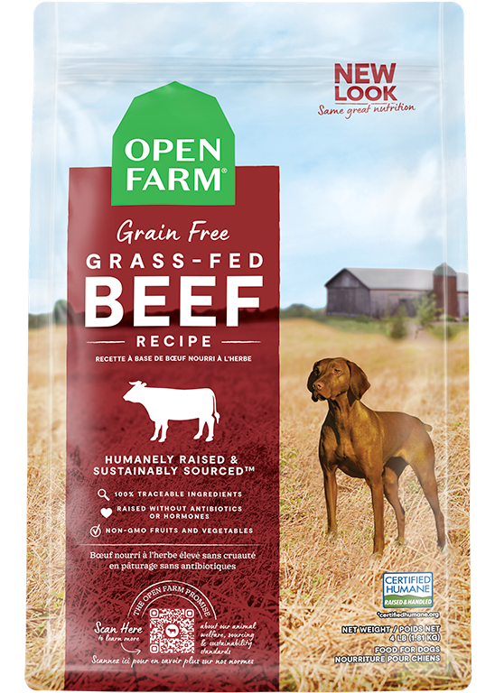 Grass-Fed Beef Grain Free Kibble 22lb