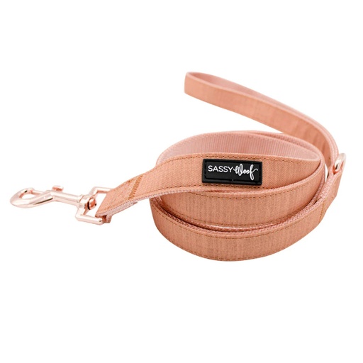 [810033178481] Holy Pets Apple Cider Correa