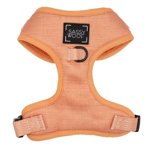 [810033178405] Holy Pets Apple Cider Arness Xs