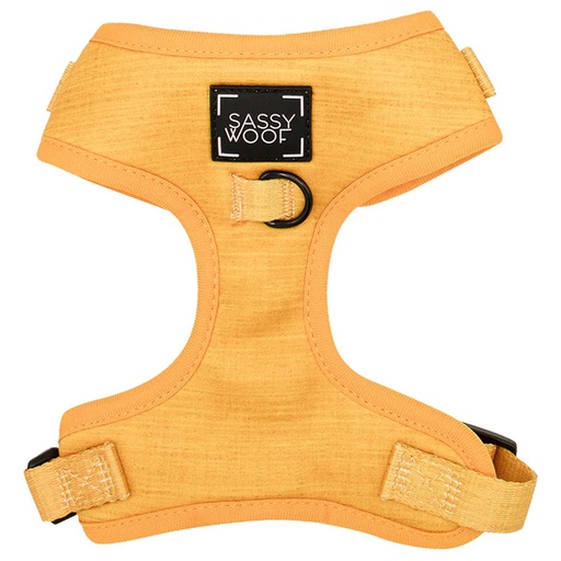 [810033178320] Holy Pets Sunflower Fields Arnes L