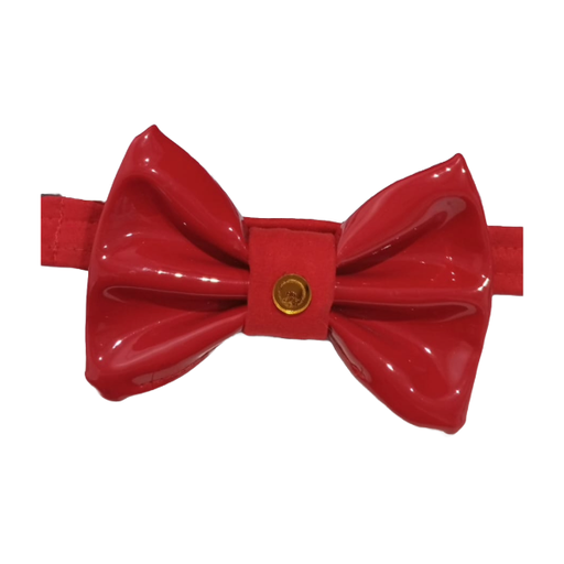 Woof Bag Project Corbatin Con Collar