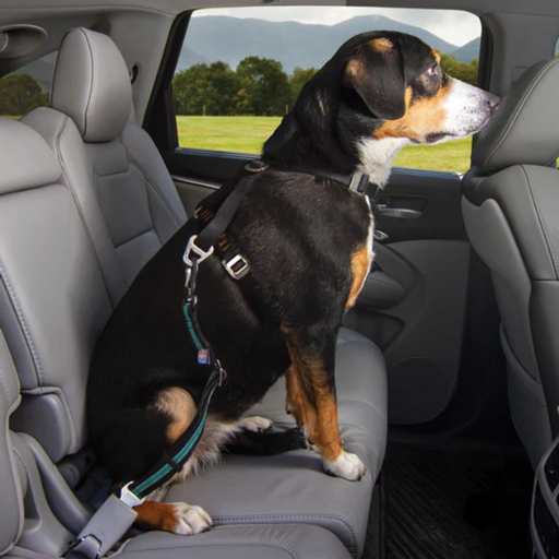 Kurgo -Direct To Seatbelt Swivel Tether