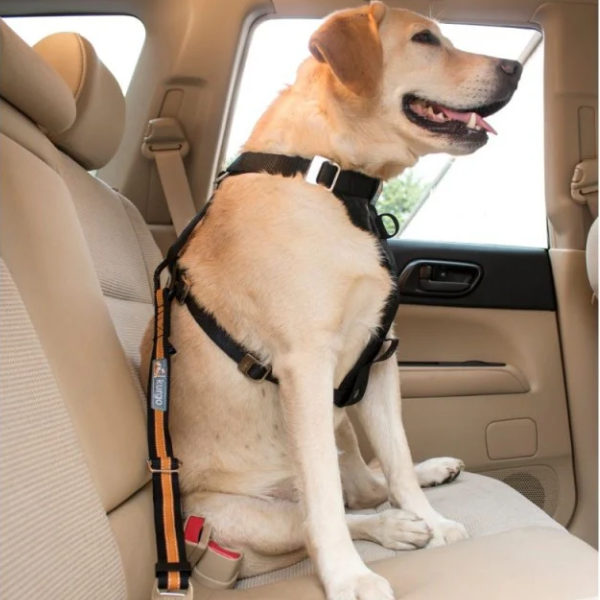 Kurgo -Direct To Seatbelt Tether