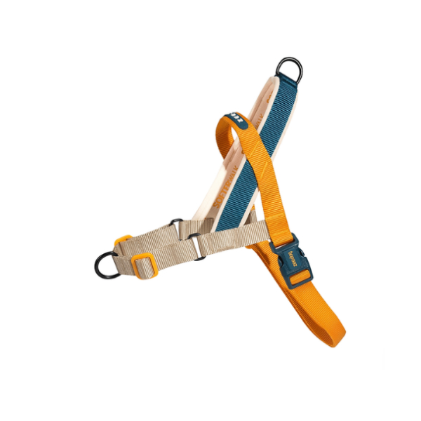 Zeedog Soft-Walk Harness - Voyage