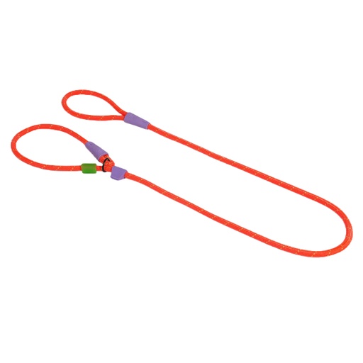 [7908471121718] Zeedog Slip-N-Lock Leash Everest