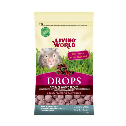 [60306] Living World Bocadillo de Frutas para Hámster 75g