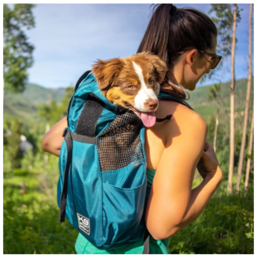 [TRAIN-ECP-S_OR] K9 - Trainer Turquesa S